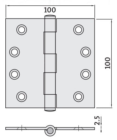 Architectural Polished Stainless Steel 100x100x2.5 Butt Hinge