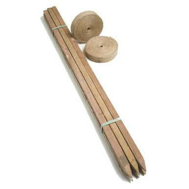 Buy Hardwood Pegs 50 x 50 Stakes 1200mm Online at Canterbury Timber and Building Supplies