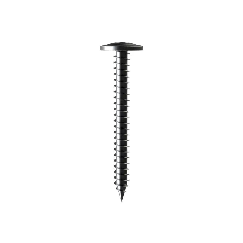 Buy Button Head Screw Galvanised  8g x 15mm pack of 500 from Canterbury Timber and Building Supplies