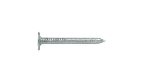 Buy Gal Clout Nails 40x2.8mm 1kg from Canterbury Timbers