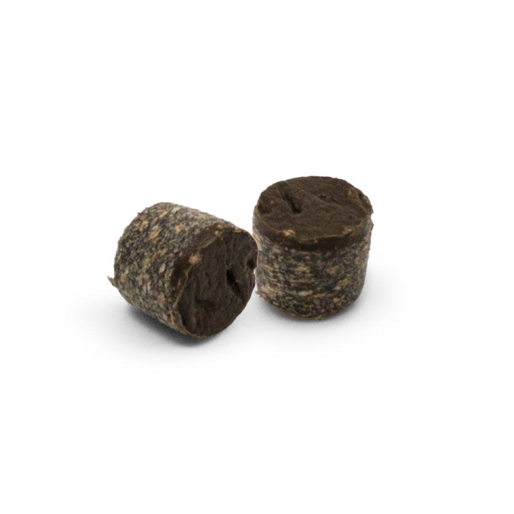 Buy online Spiced Rum Pro Plugs -pack of 375 from Canterbury Timber and Building Supplies